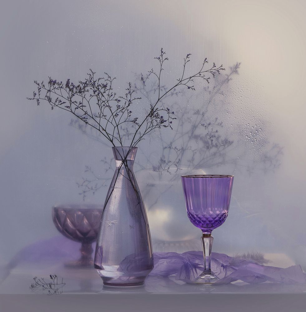 Фотография автора Шипунова Ирина