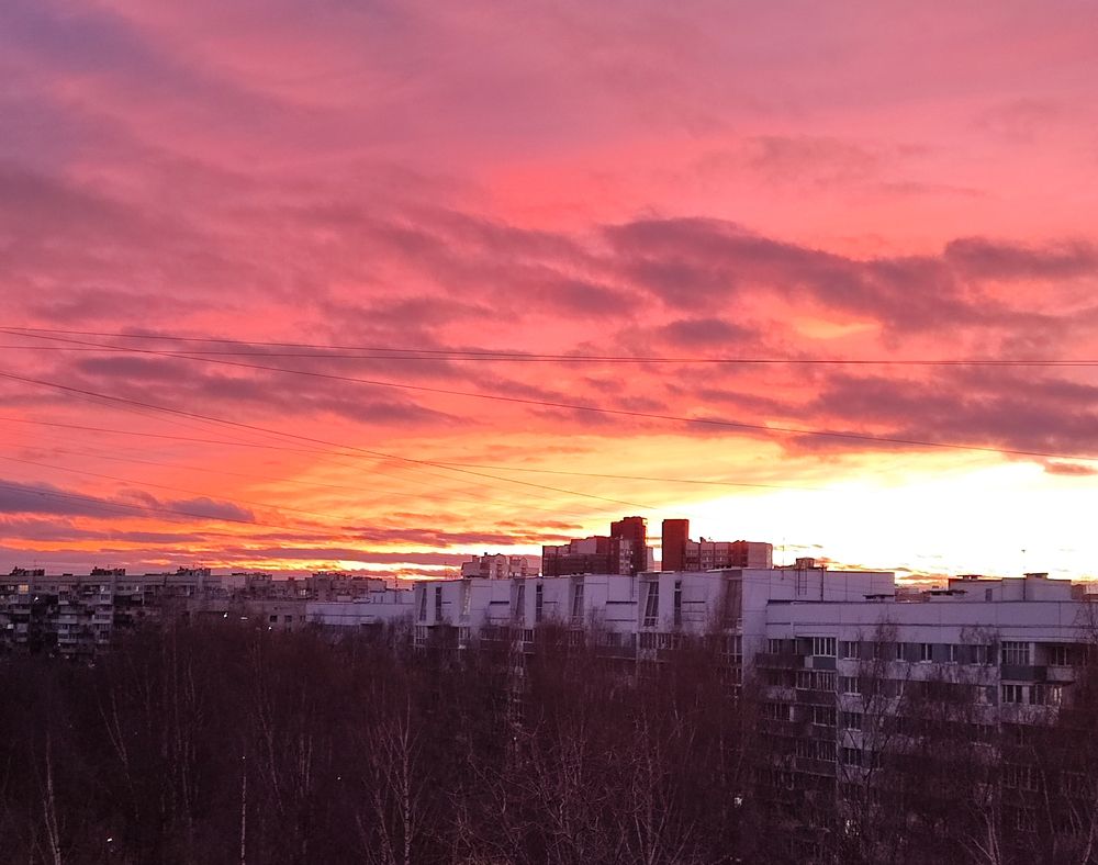 Photograph by Елена Юдина