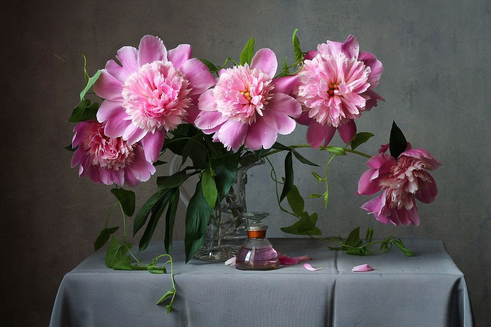 Photograph by Курочкина Диана