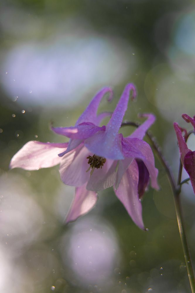 Photograph by Татьяна Чечелева