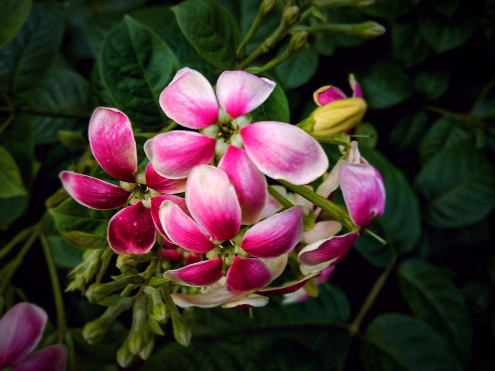 Фотография автора Captured Chronicles