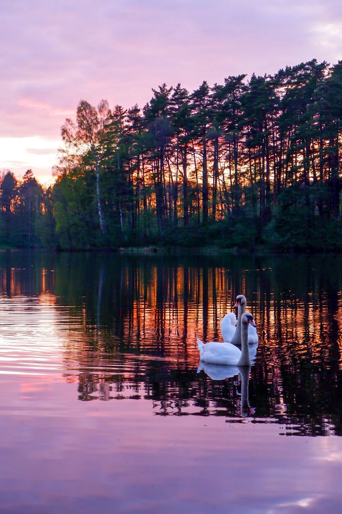 Фотография автора Elvijs Kalnins