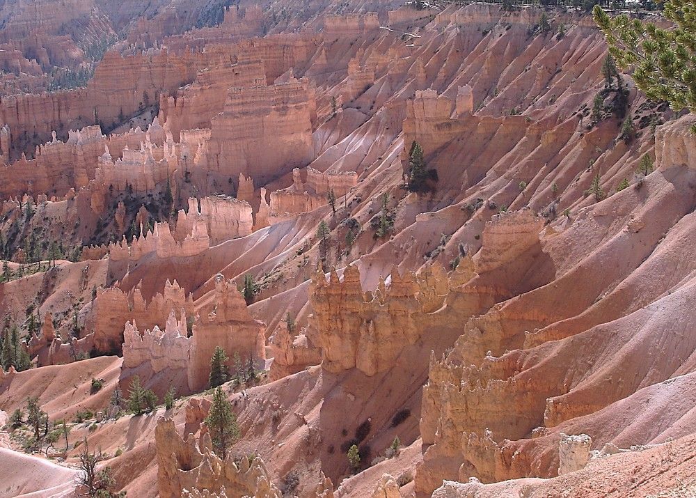 Photograph by Ирина Орлова