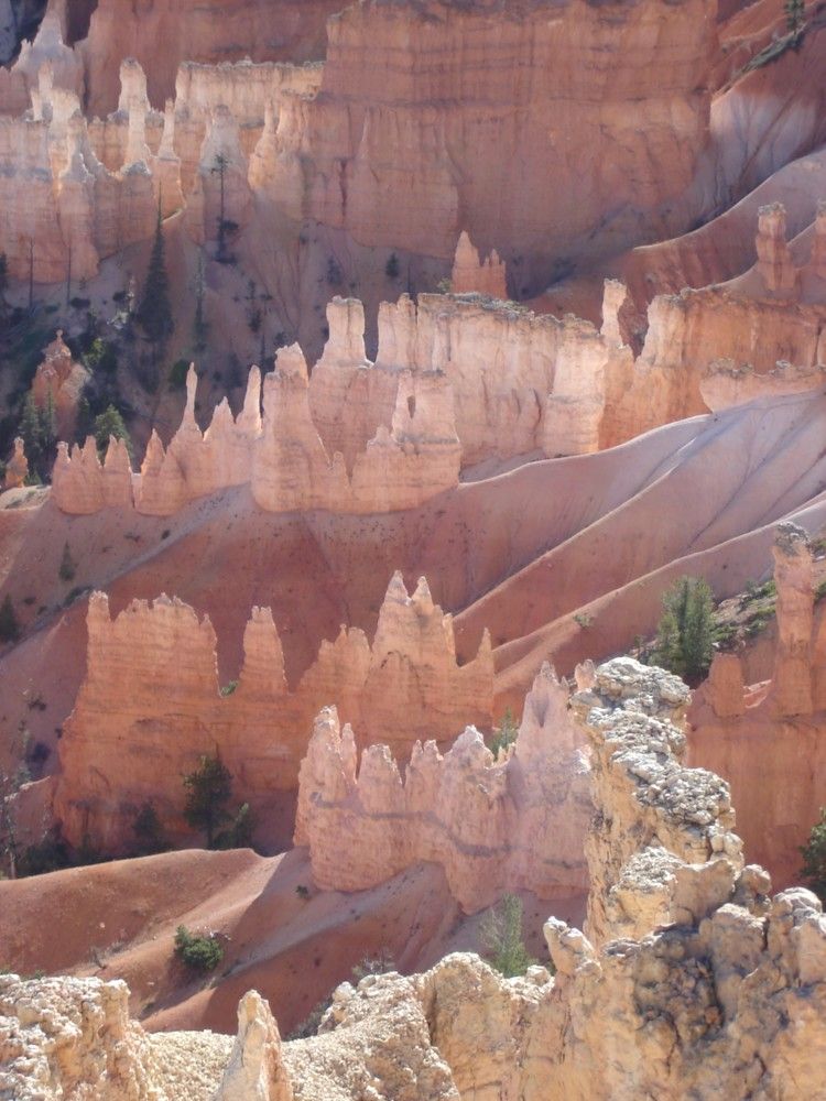 Photograph by Ирина Орлова