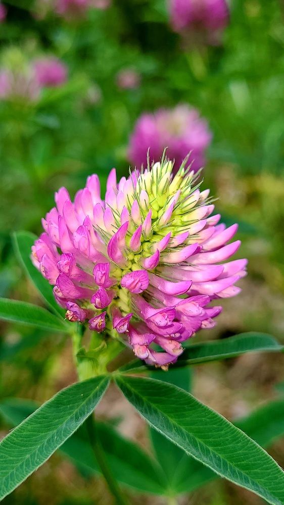 Photograph by Егор Жук