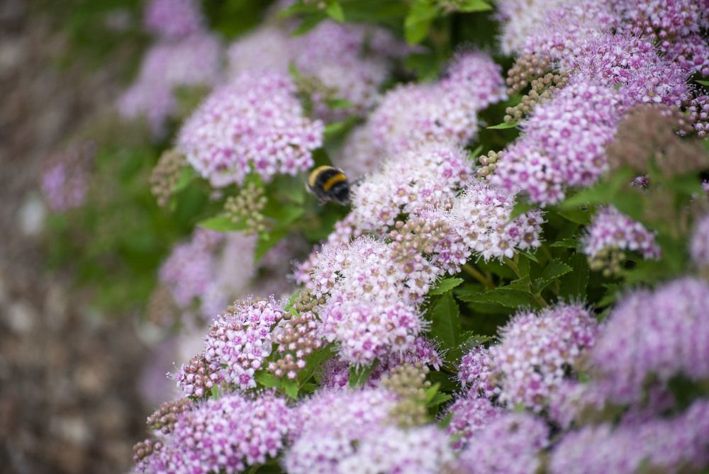 Photograph by Екатерина @Arigata