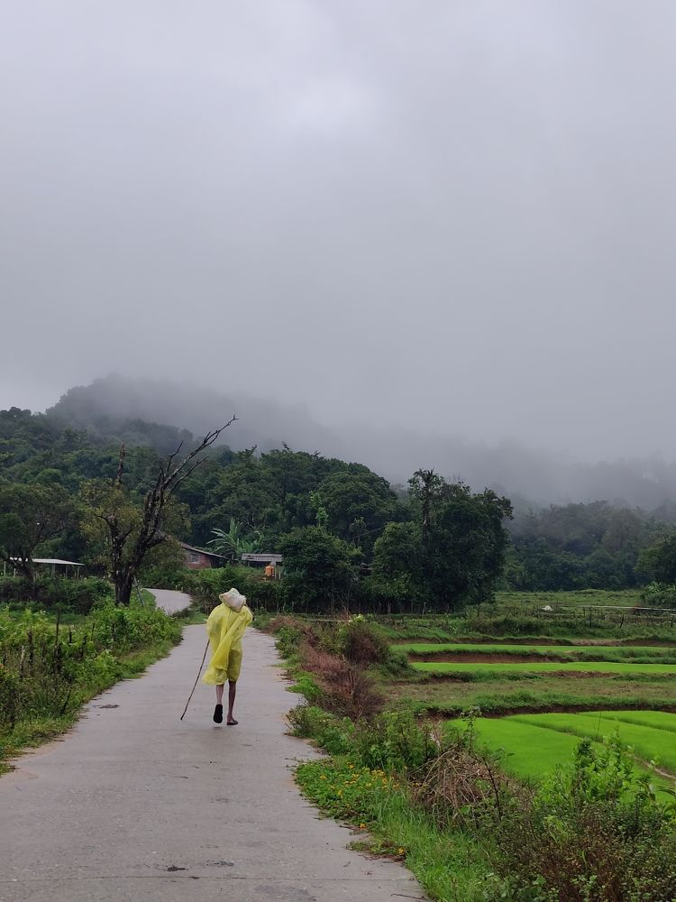 Photograph by Bandhav reddy Cheviti