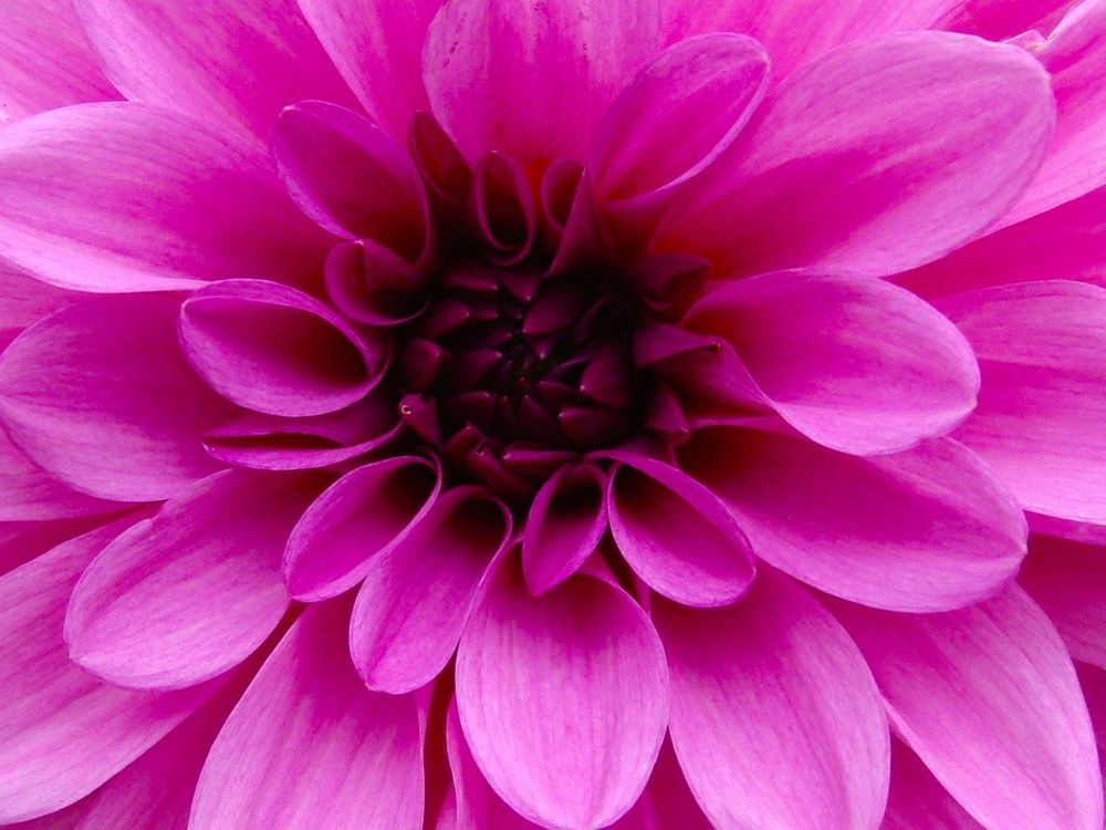 Фотография автора Павел Попов