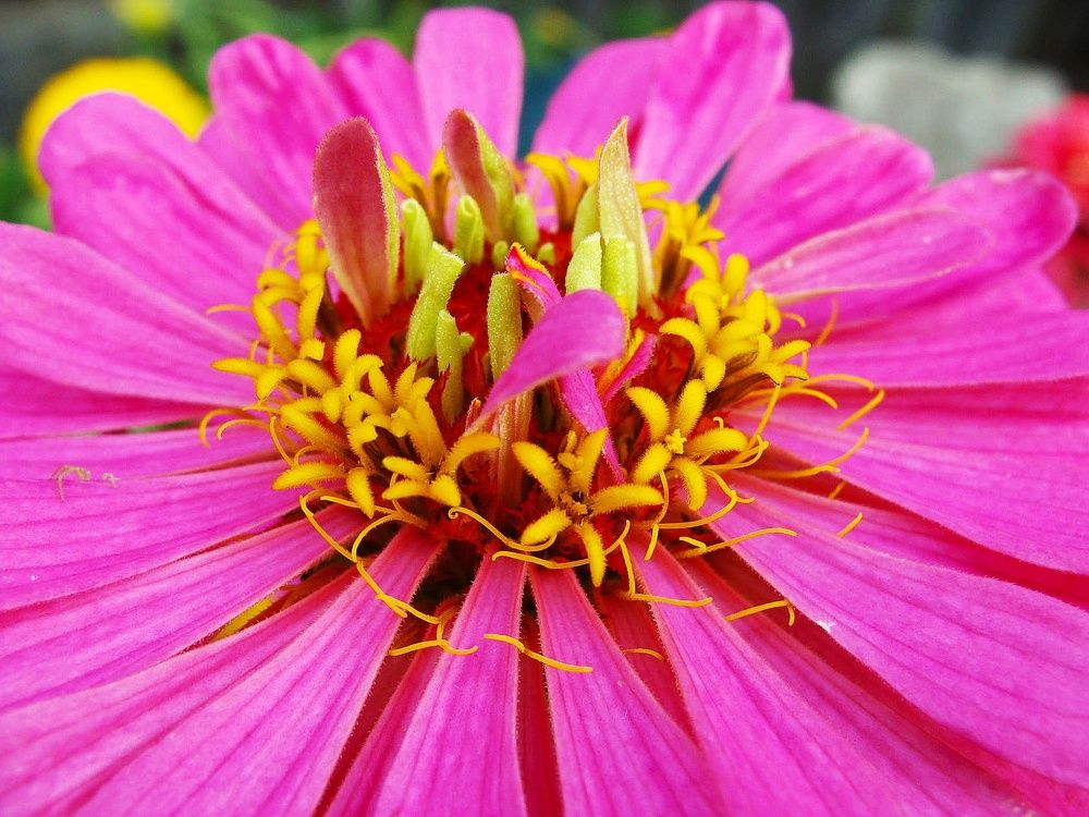 Фотография автора Павел Попов