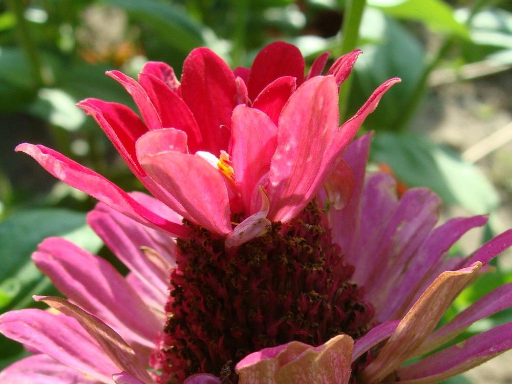 Фотография автора Павел Попов