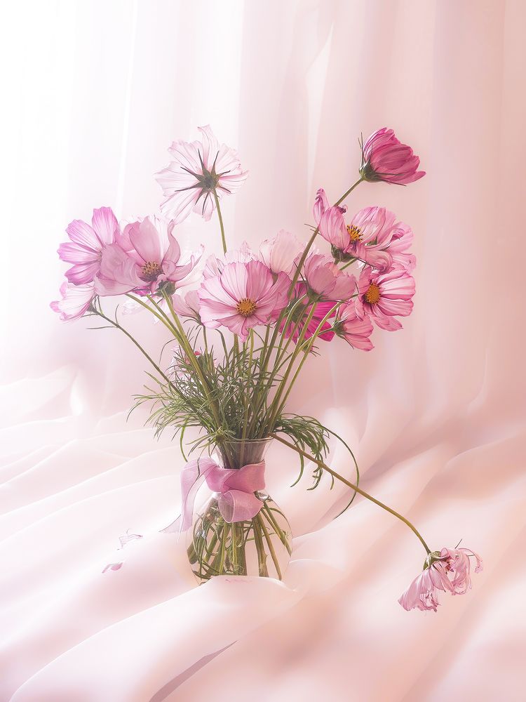 Photograph by Миронова Мила