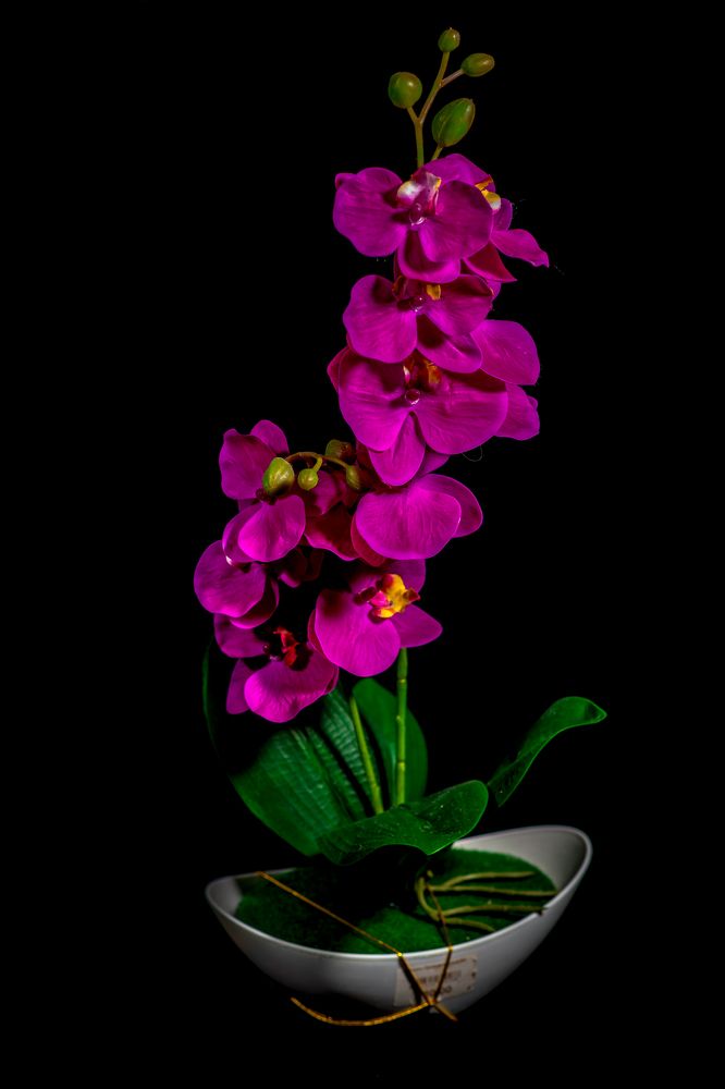 Photograph by Валерий Худынцев