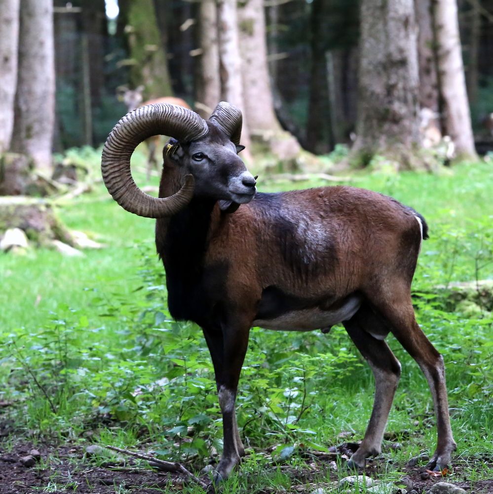 Photograph by Vladislav Kaplun