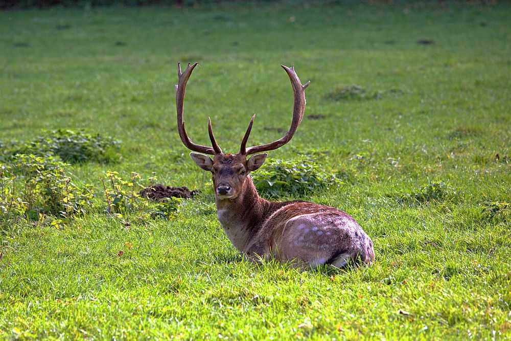 Photograph by Vladislav Kaplun