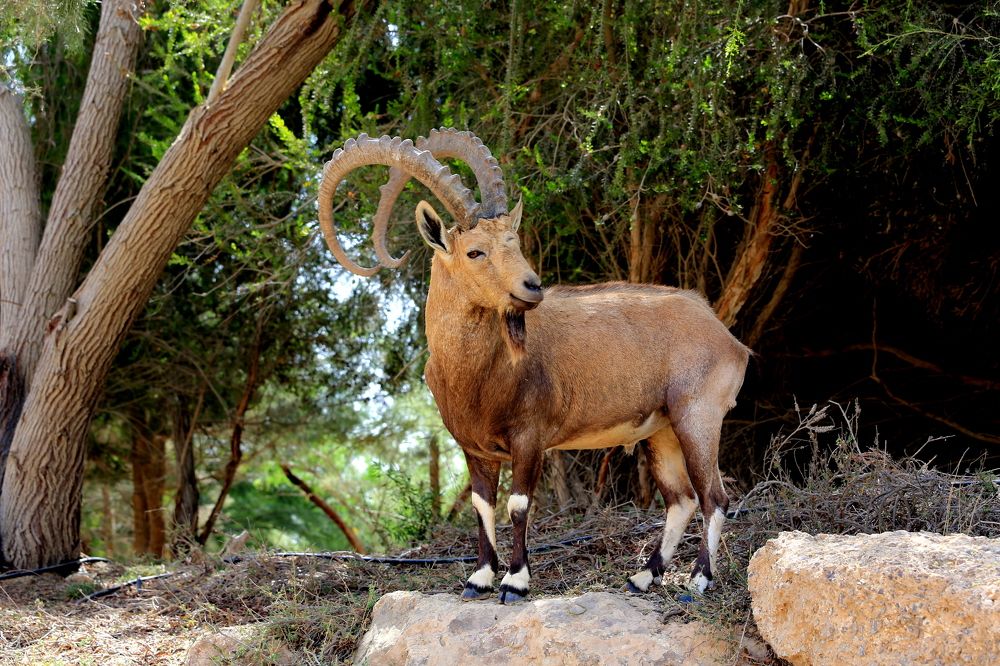 Photograph by Vladislav Kaplun