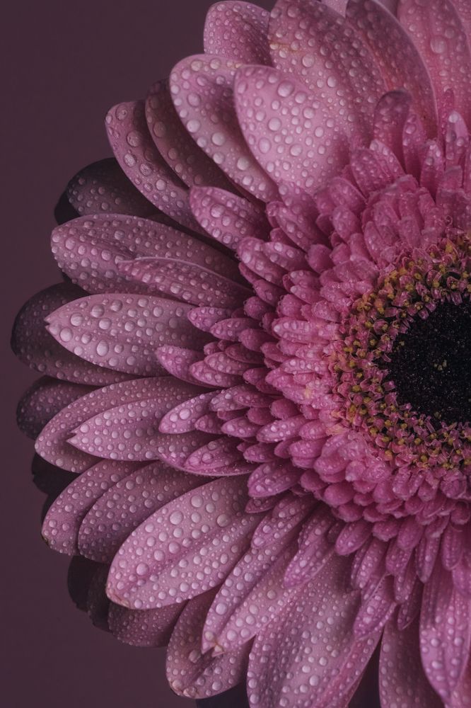 Photograph by Anya Lo