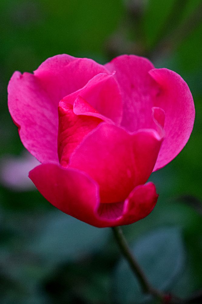 Photograph by Александра Климук