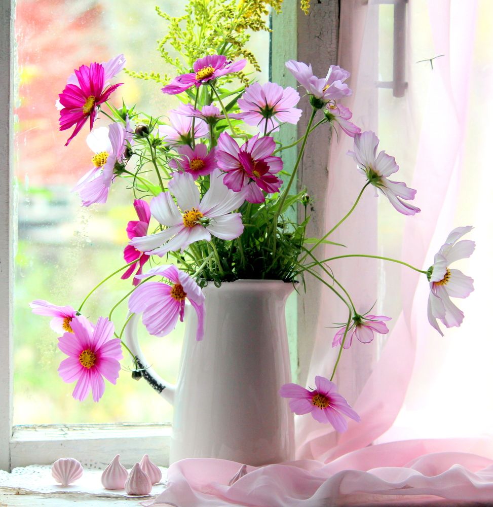 Photograph by Жанна Нечаева