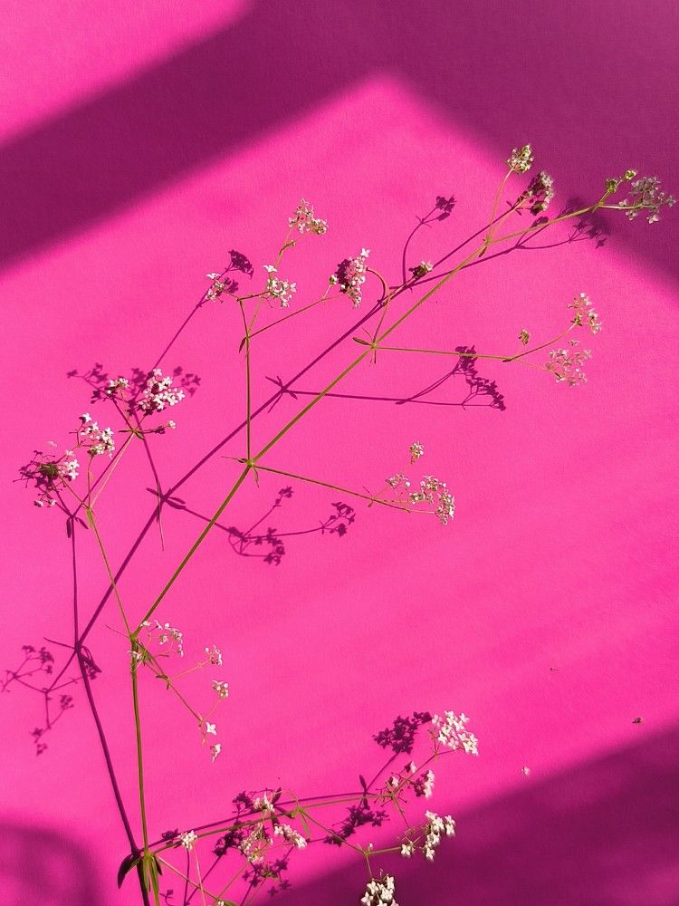 Photograph by Юлия Бурминская