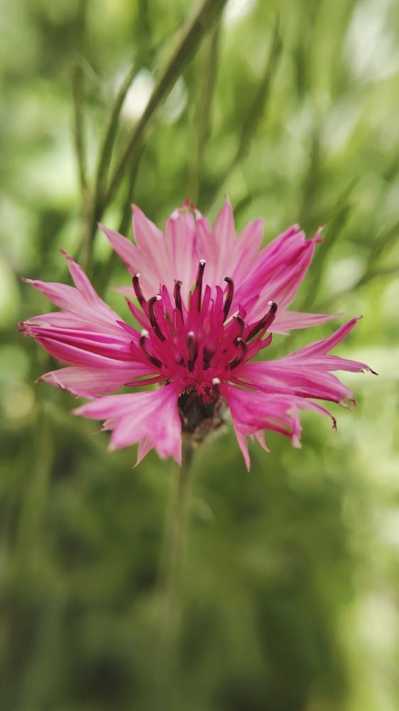 Фотография автора Анна Морозова