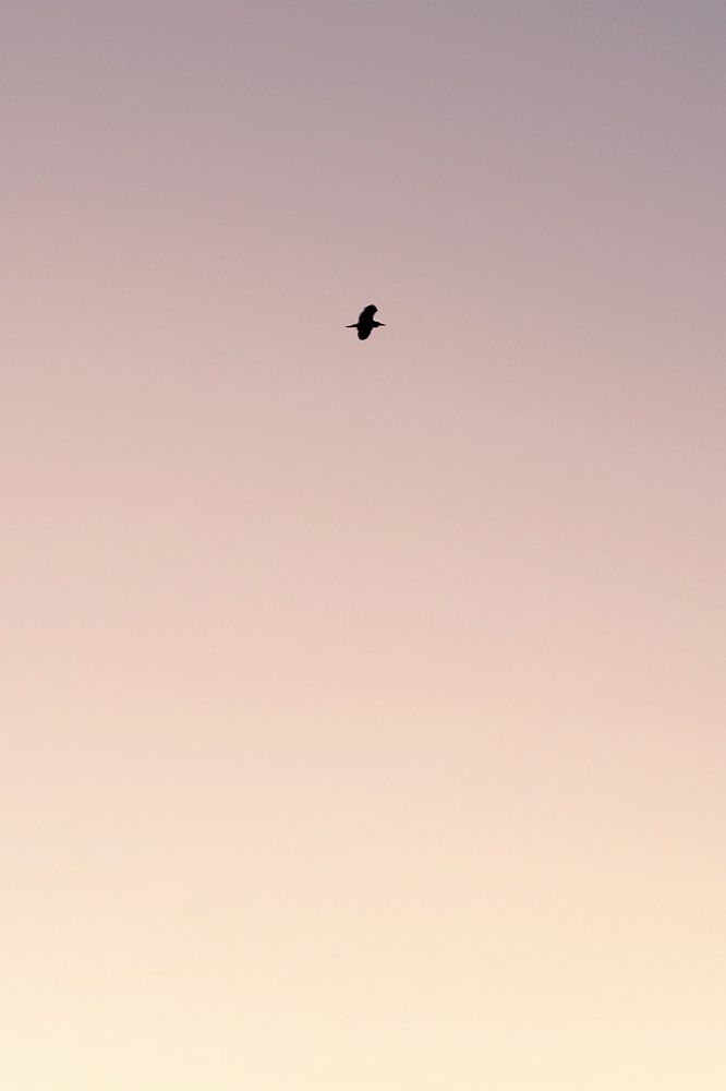 Фотография автора huiyi li