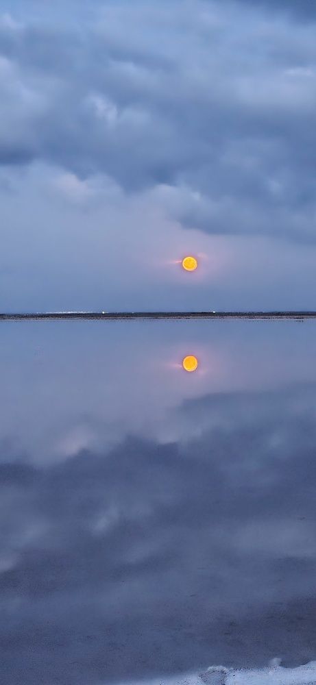 Фотография автора Ольга Мусина