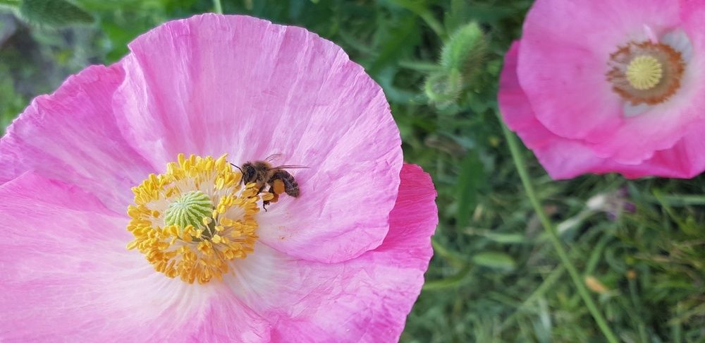 Фотография автора Ольга Мусина