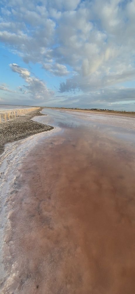 Фотография автора Ольга Мусина
