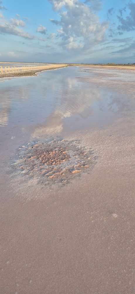 Фотография автора Ольга Мусина