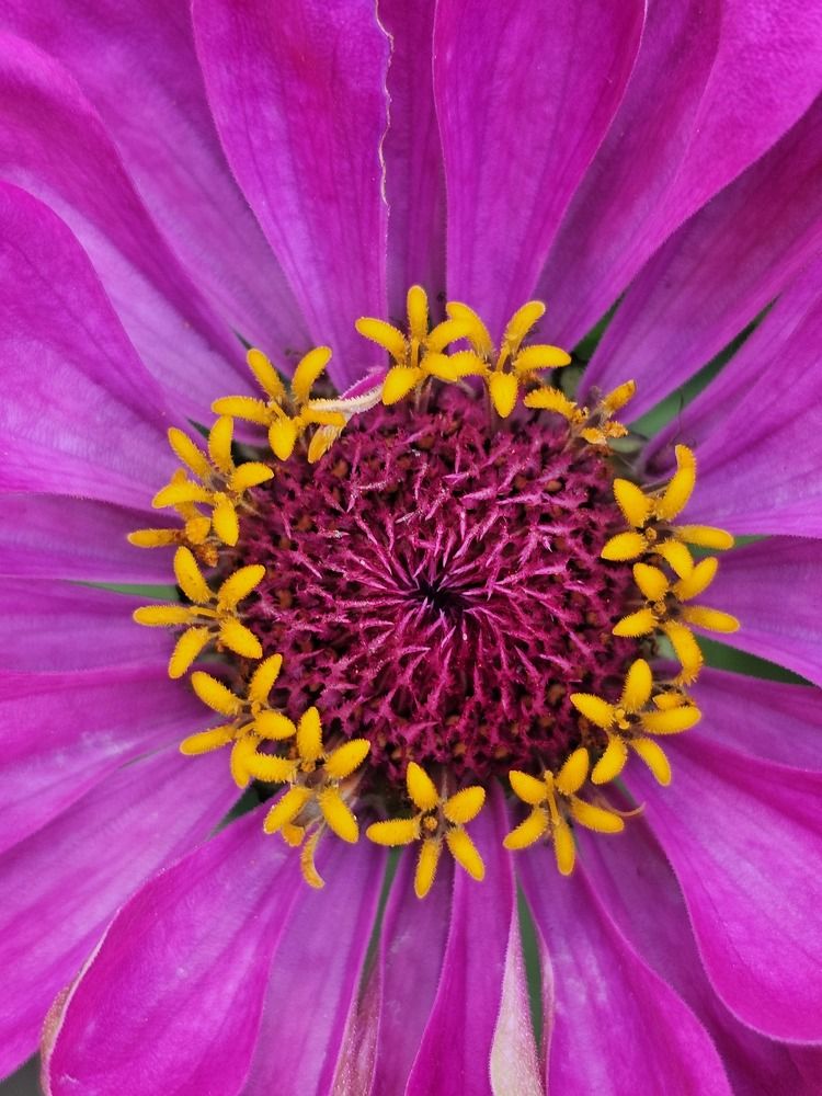 Photograph by Елена Ямнюк