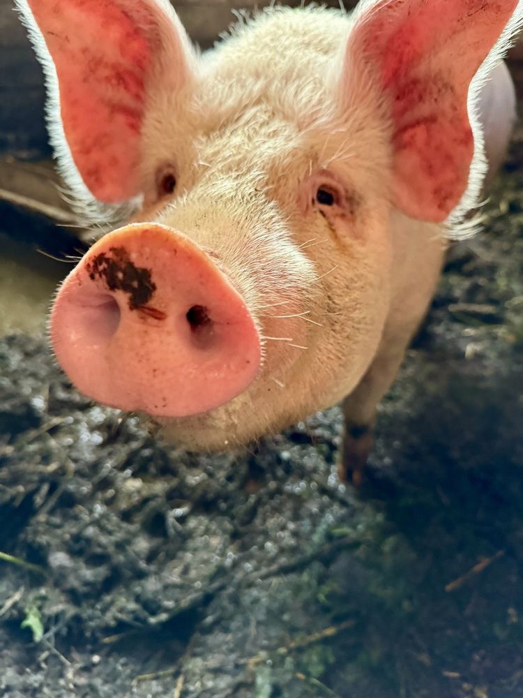 Photograph by Елена Смирнова