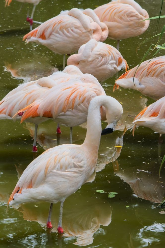 Photograph by Сергей Аверченко