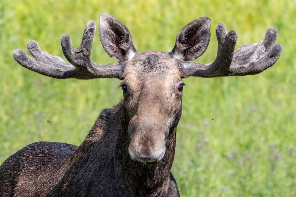 Photograph by Бурыкин Илья