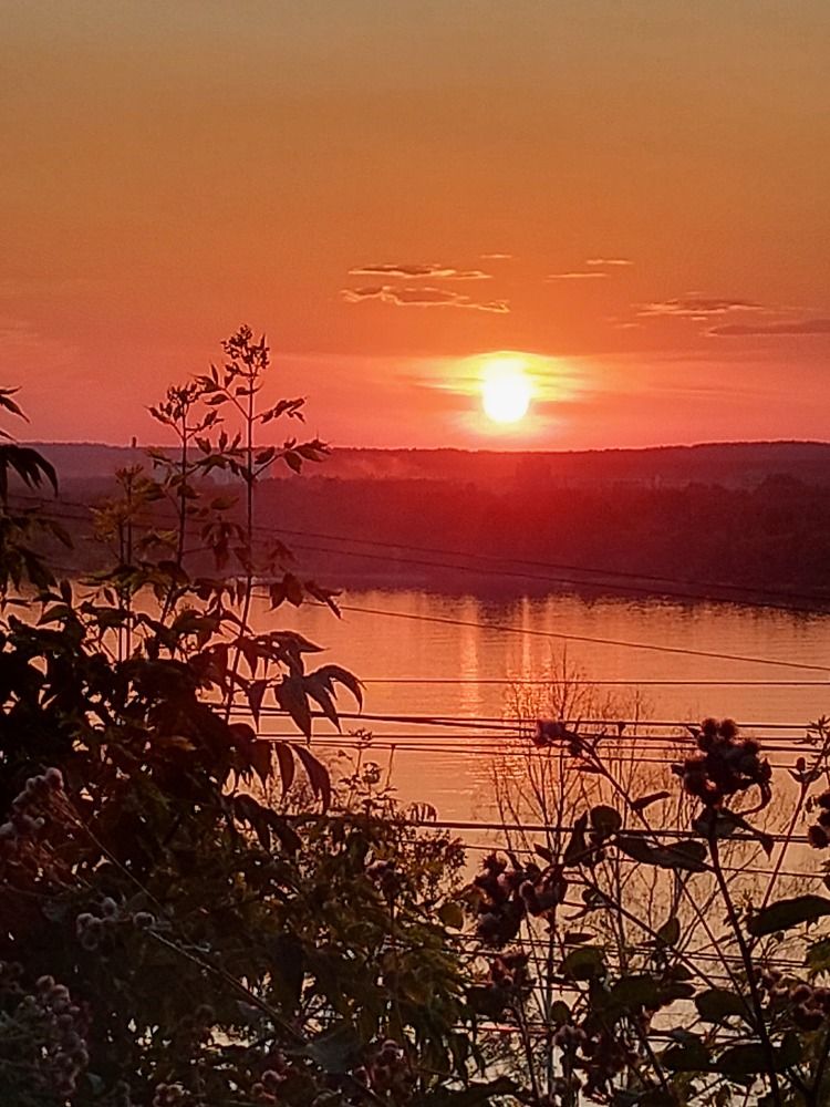 Photograph by Эльвира