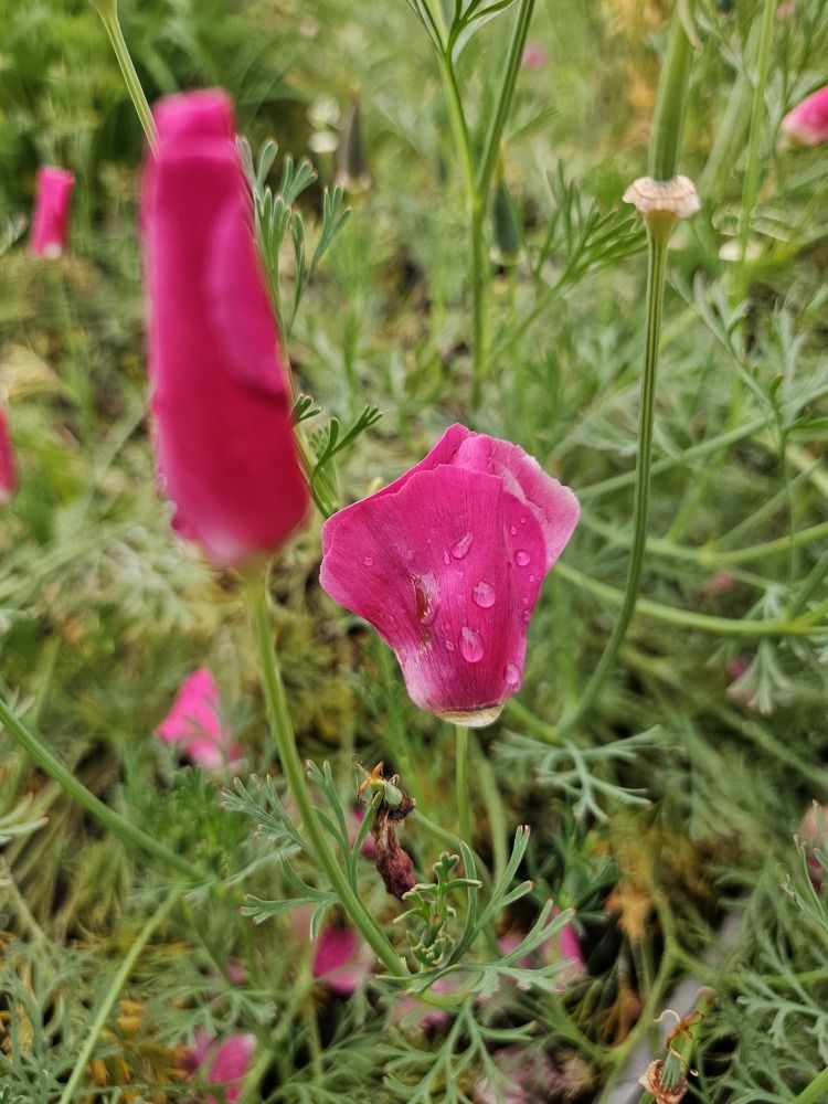 Photograph by Эльвира