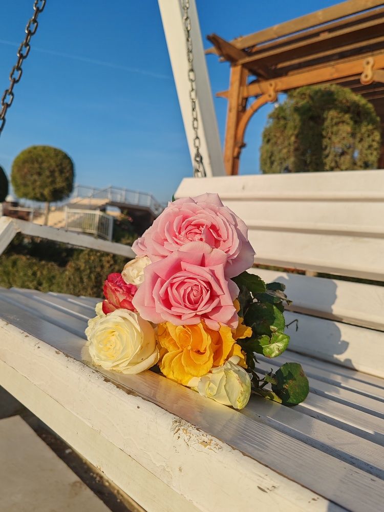 Фотография автора Кравцова Светлана