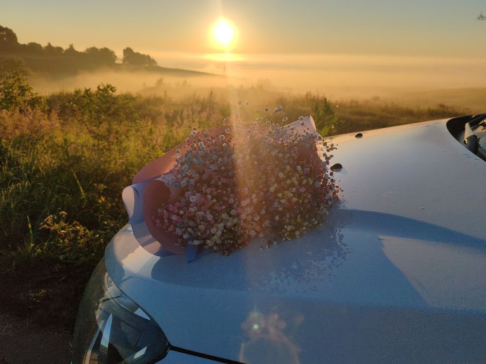 Фотография автора Кравцова Светлана