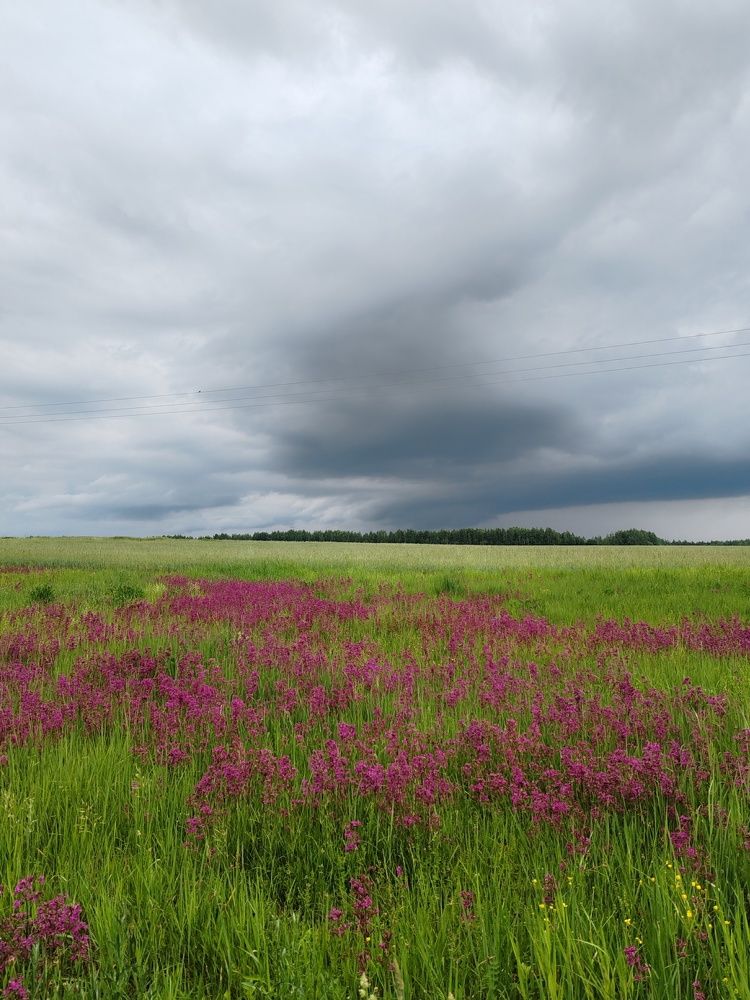 Фотография автора Кравцова Светлана