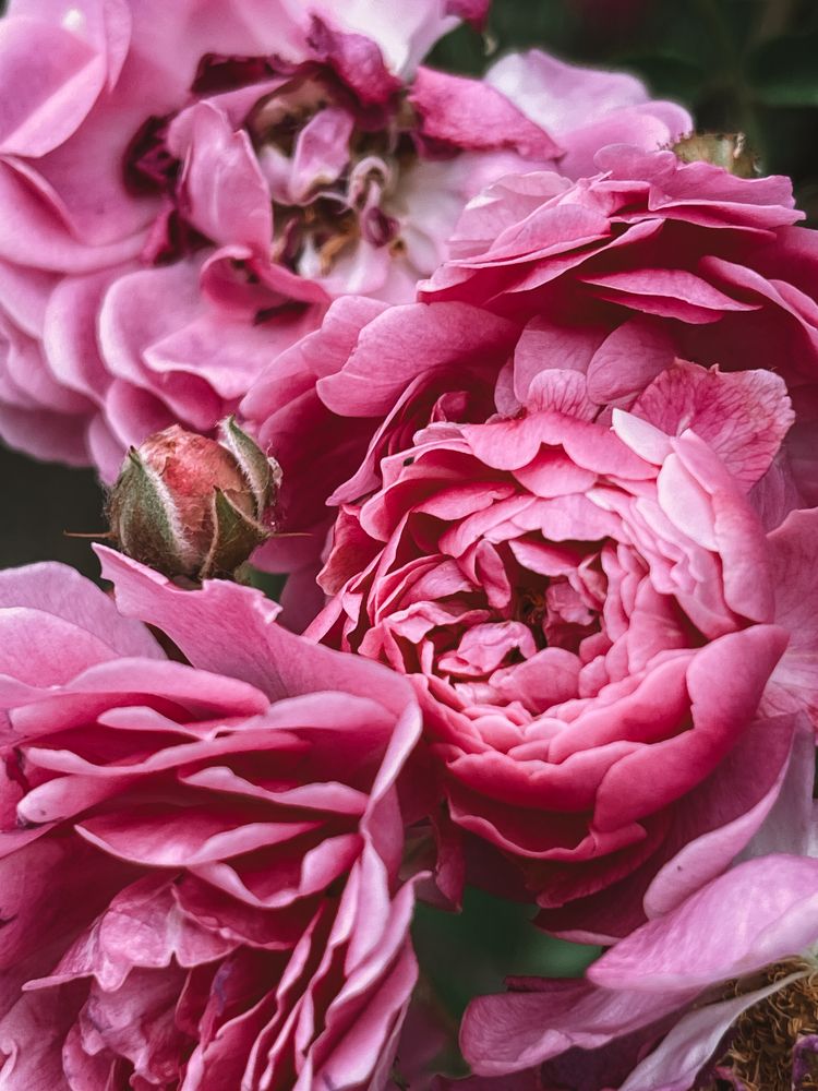 Photograph by Олена Уманцева