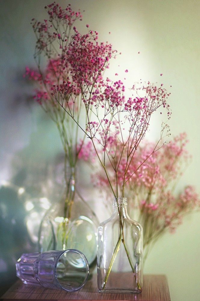 Photograph by Татьяна Максакова