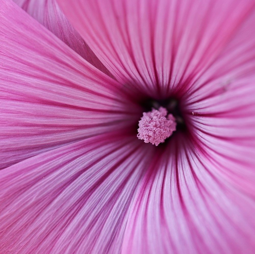 Photograph by Елена Одынец