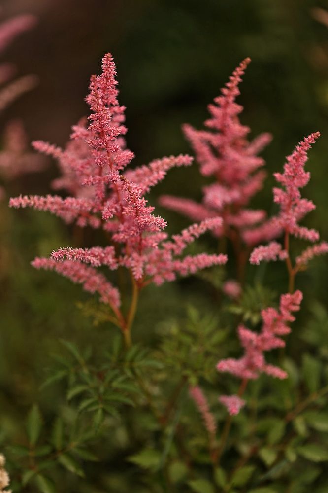 Photograph by Елена Одынец