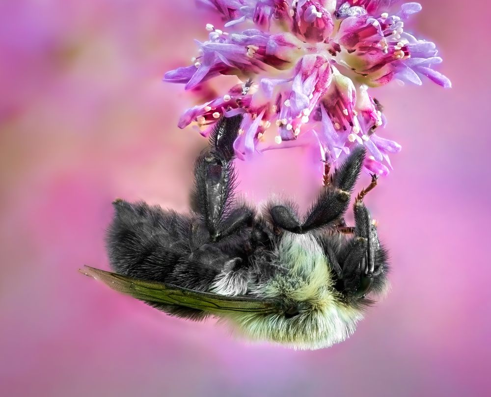 Photograph by Atul Saluja