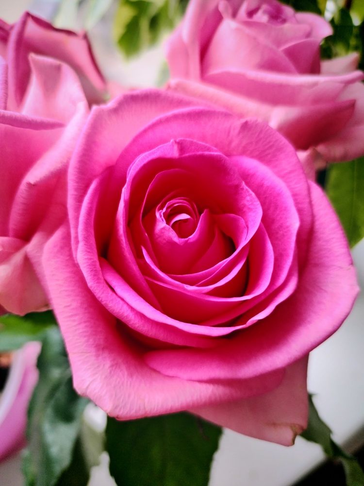 Photograph by Юлия Ю.