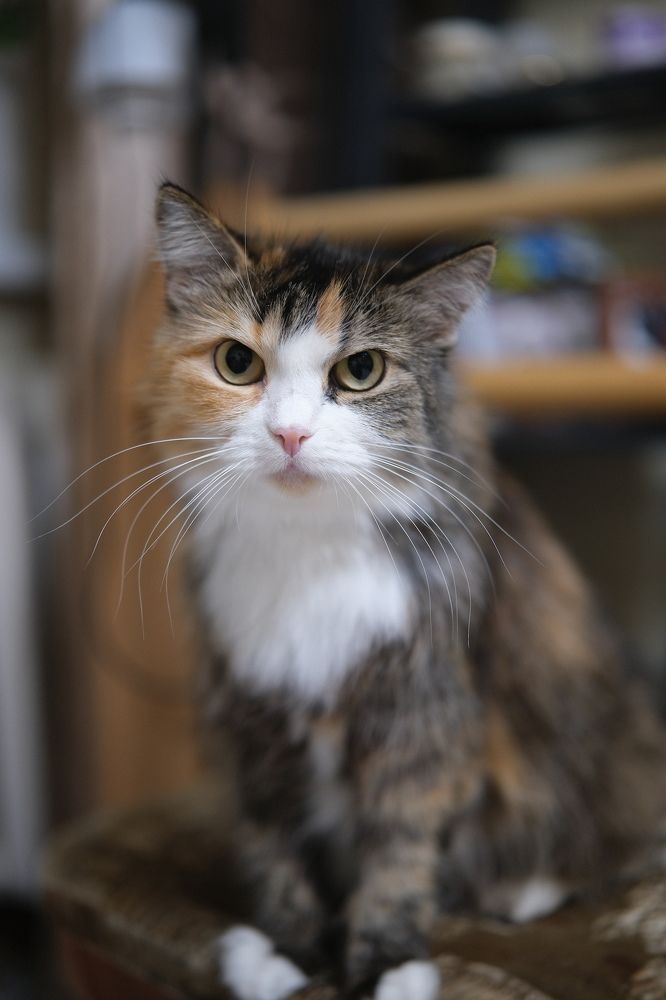 Photograph by Бехтерев Вадим