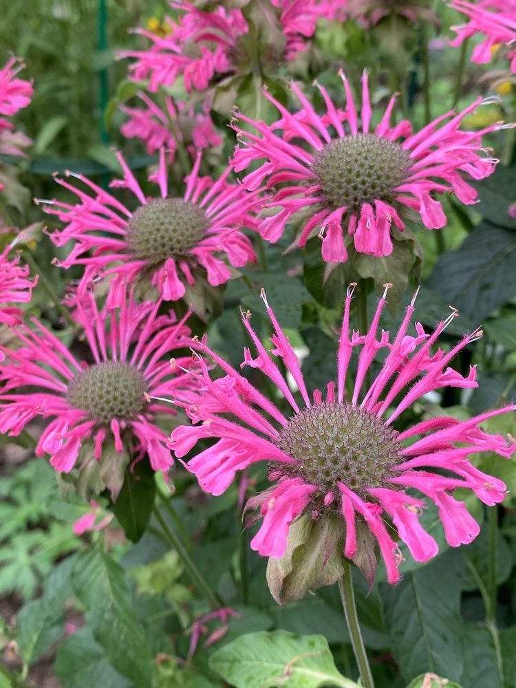 Photograph by Елена Смирнова