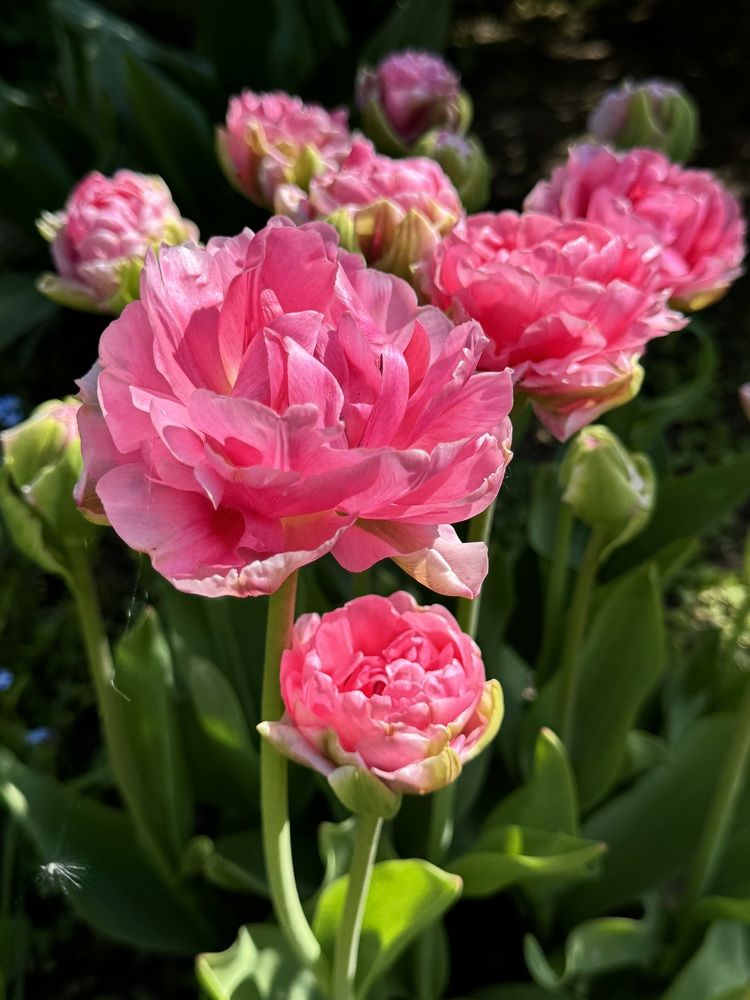 Photograph by Елена Смирнова