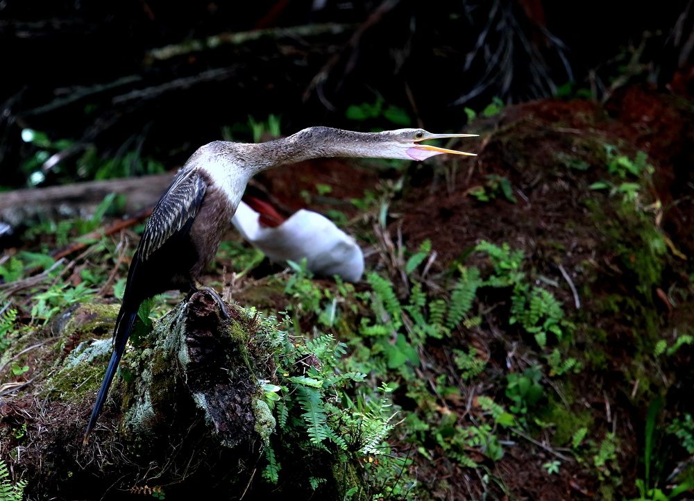 Photograph by Vladislav Kaplun