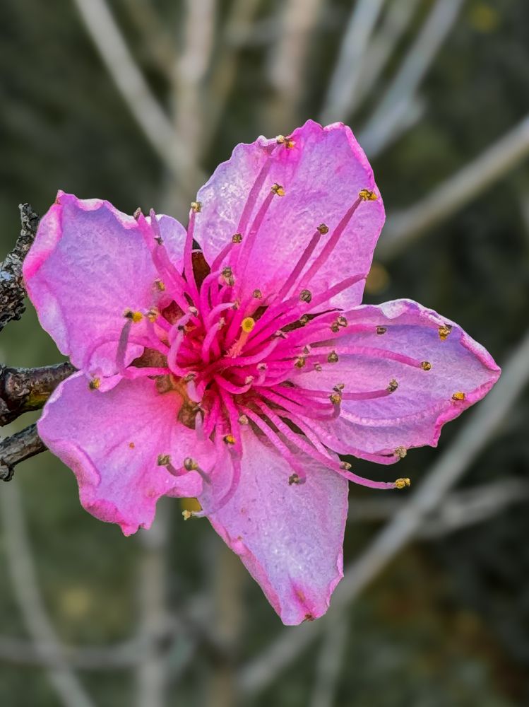 Photograph by Maria Julieta ZURZOLO