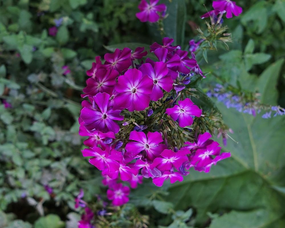 Фотография автора АЛЕКСАНДР ЦЫГЕЛЬНЮК